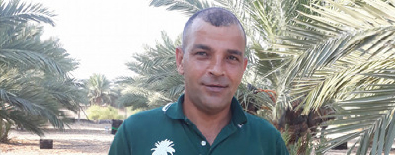 Sansovino Alimentari