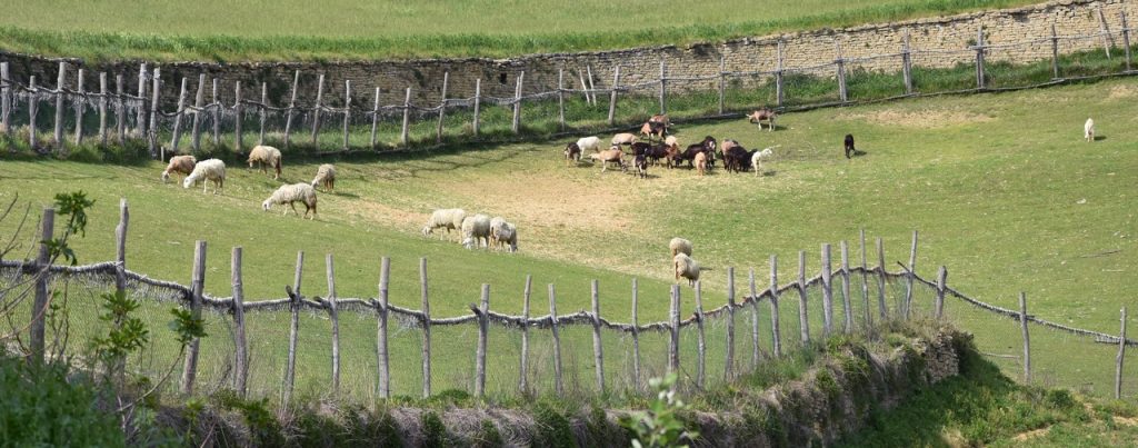 Progetti di agroecologia